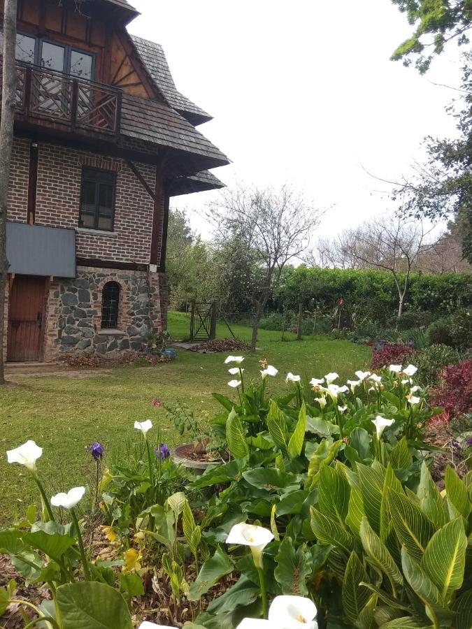 Fleur Bleue & The Timber Frame Bed and Breakfast Heidelberg  Exteriör bild